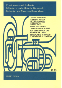 Libišská polka / Jedu nádhernou zemí
