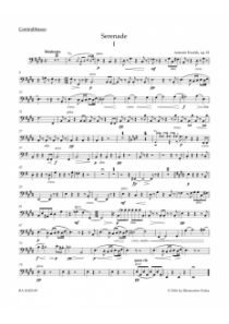 Serenáda E dur pro smyčcový orchestr op. 22 Serenáda E dur pro smyčcový orchestr op. 22